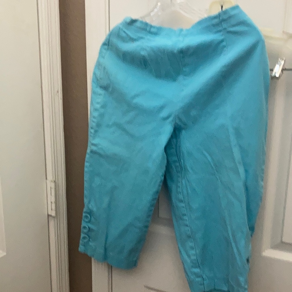 Denim and company capris small